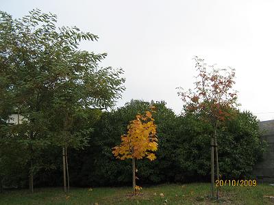 moja kolorowa ulica