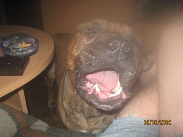 SPOKO,TYLKO SIĘ UŚMIECHAM